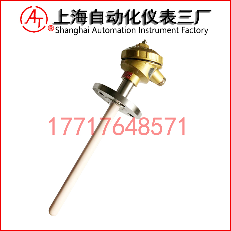 WRR2-421雙支鉑銠熱電偶